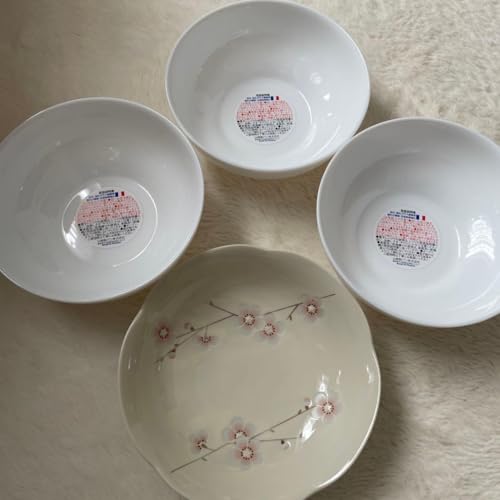 たち吉 皿」の人気商品一覧 | 安い商品を通販サイトから探す - 価格.com